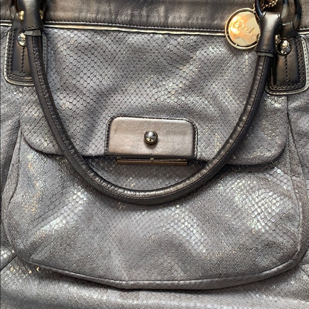 Coach Lux snakeskin